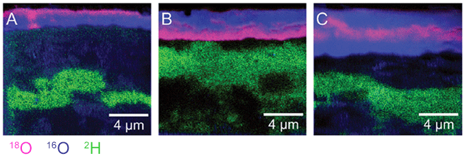 Investigating oxidation in zirconium alloys with NanoSIMS