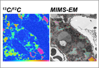 Nuevo artículo publicado