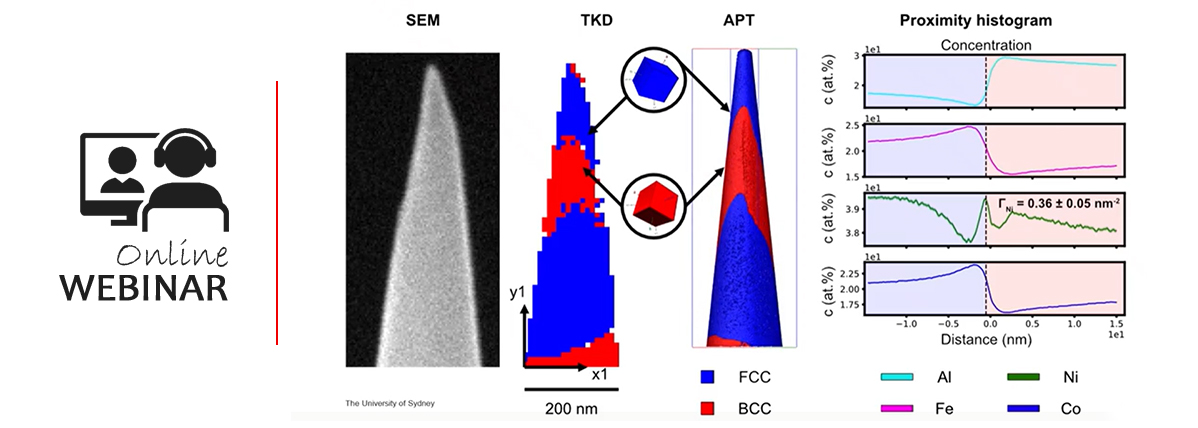 Seminario web de APT con Tescan